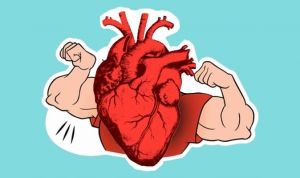 Сколько заниматься спортом, чтобы сердце оставалось молодым и здоровым